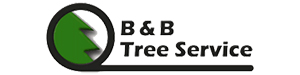 B & B Trees
